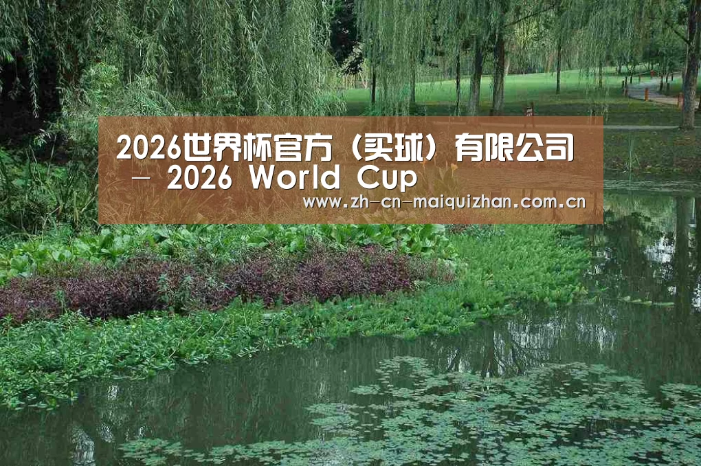 案例展示一(图1)
