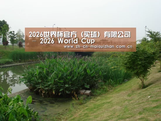 案例展示四(图1)