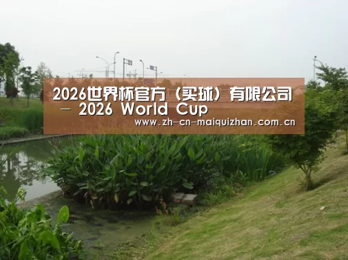 案例展示四