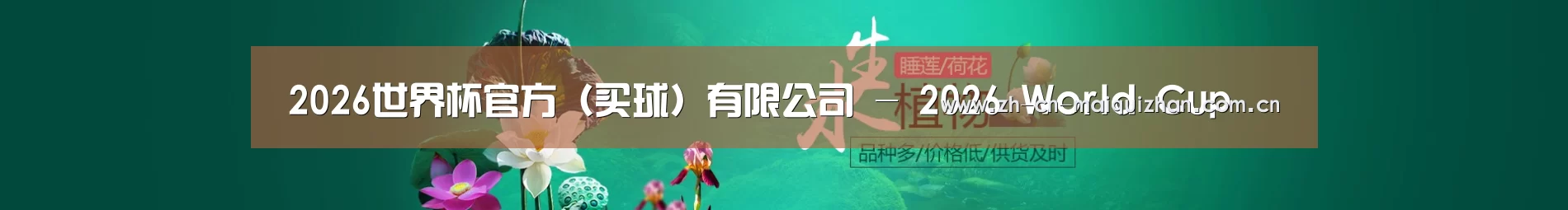 鲜花水草花卉网站模板