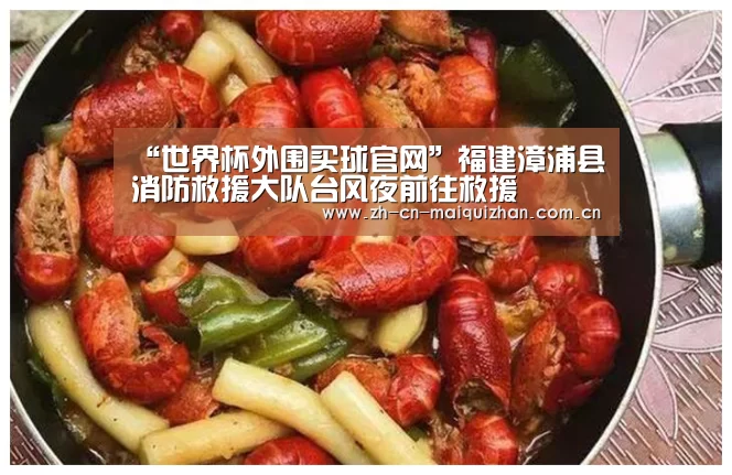 “世界杯外围买球官网”福建漳浦县消防救援大队台风夜前往救援(图2) 世界杯买球网站