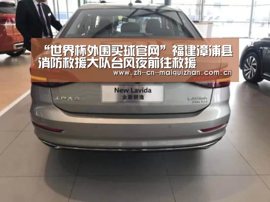 “世界杯外围买球官网”福建漳浦县消防救援大队台风夜前往救援(图3) 世界杯投注