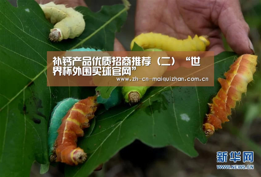 补钙产品优质招商推荐(二)“世界杯外围买球官网”(图1) 世界杯投注